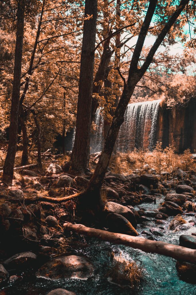 Serene autumn forest with golden trees river over rocks and waterfall in warm light wallpaper background