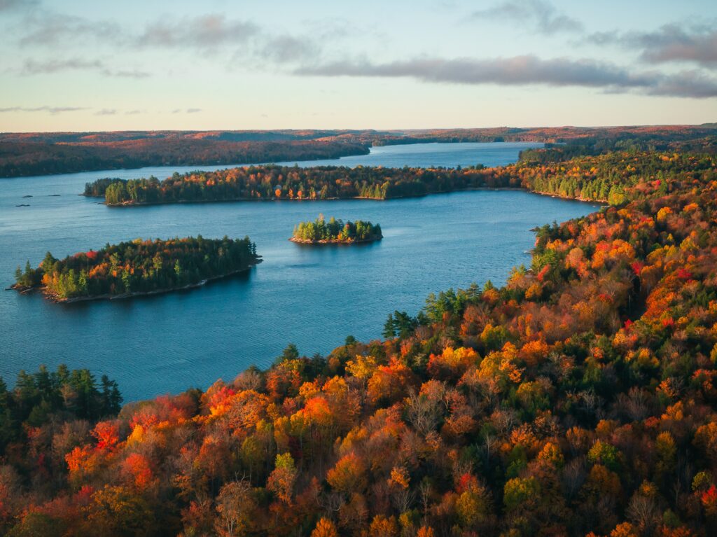 Serene autumn lake with vibrant forest and calm water reflecting colorful fall foliage wallpaper
