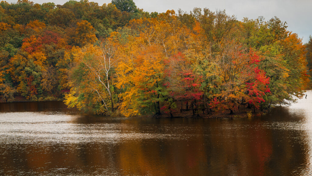 Serene autumn lake wallpaper with vibrant orange yellow red trees reflecting fall colors