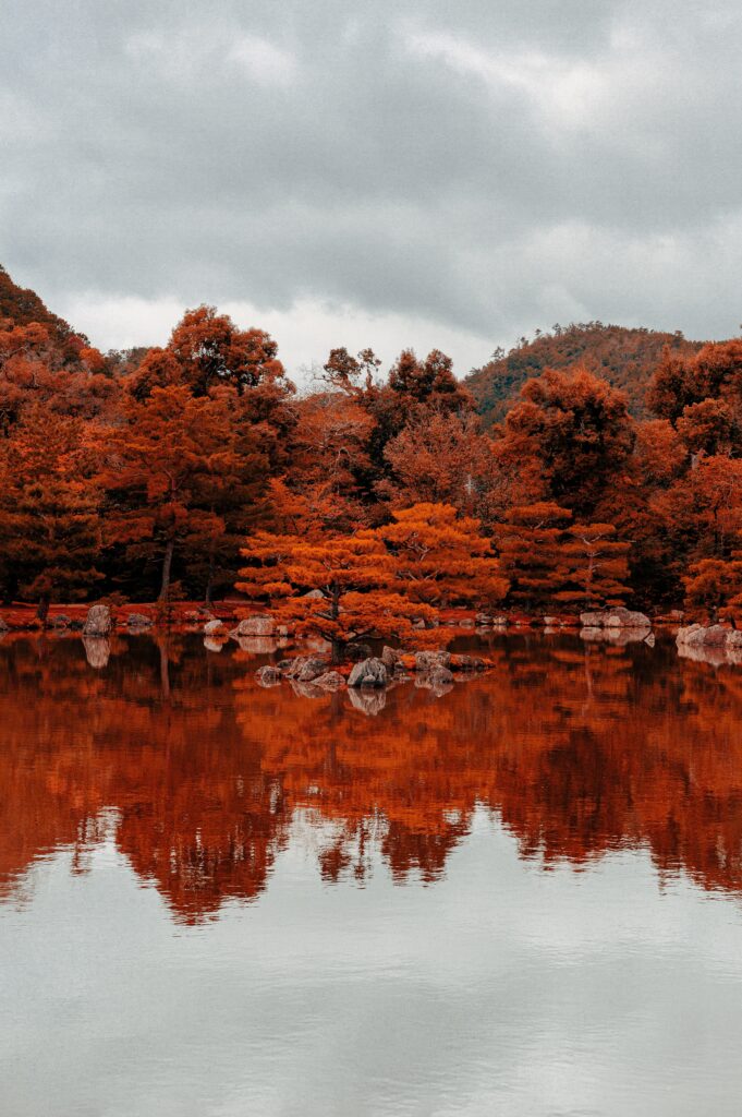 Serene autumn lake with vibrant orange trees reflecting on calm water under cloudy sky wallpaper