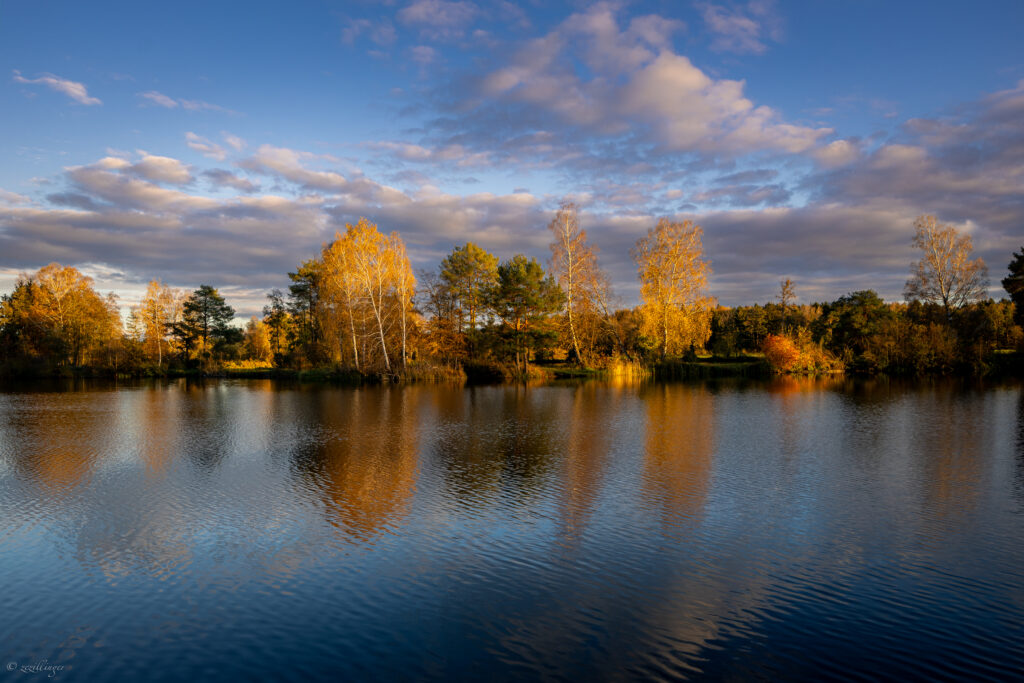 Autumn landscape with golden trees reflected in a calm lake under soft sunlight and dramatic clouds Wallpaper