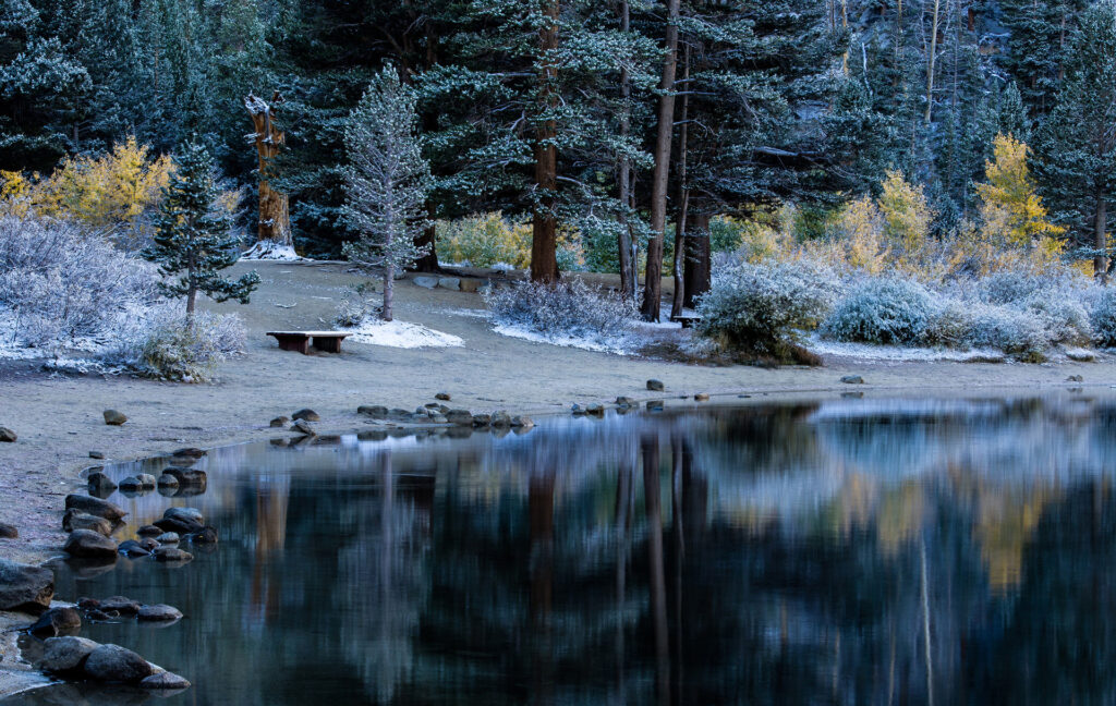 Tranquil lake reflecting autumn pine trees by rustic wooden table peaceful nature wallpaper