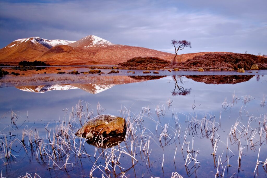 Serene autumn lake reflecting cloudy sky golden grass snow-dusted mountains tree stones wallpaper