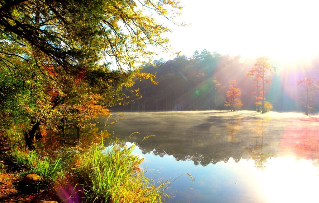 Serene autumn lake with bright sunlight vivid colors natural wood reflections peaceful wallpaper