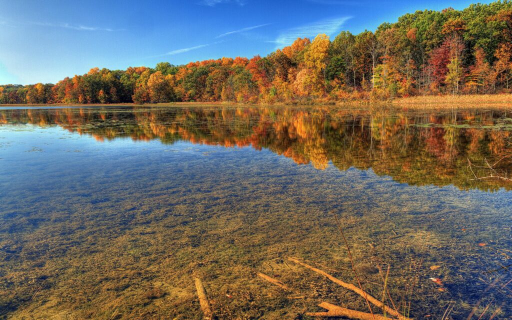Autumn lake with clear water reflecting colorful fall trees bright blue sky nature wallpaper