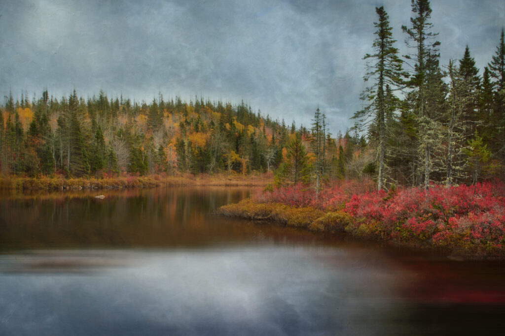 Serene lake with evergreen trees and vibrant autumn foliage under a soft cloudy sky wallpaper