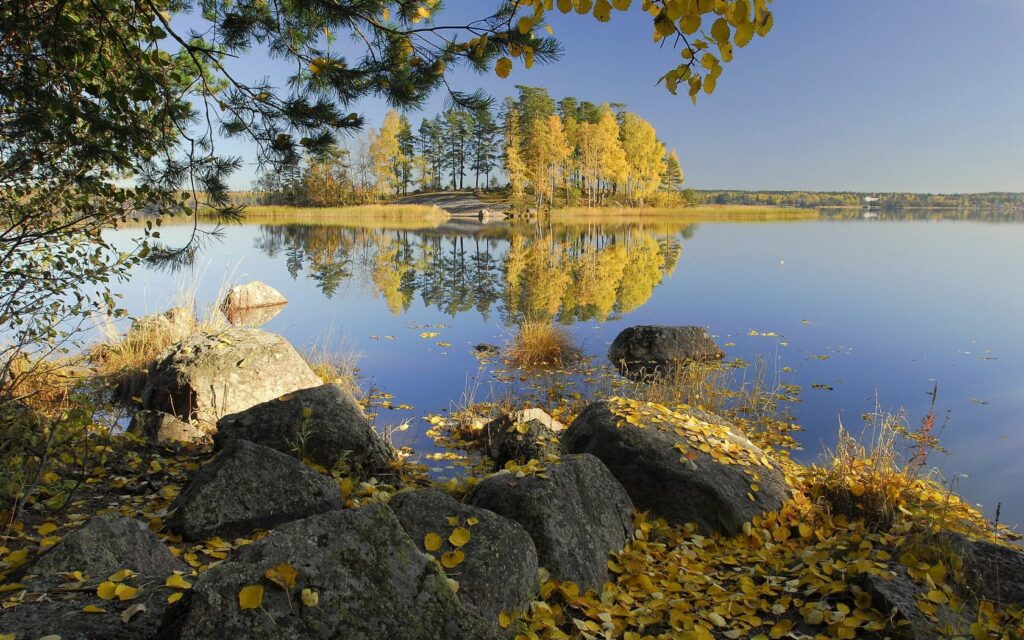 Serene autumn lake with golden birch leaves large stones calm water and reflective island trees Wallpaper