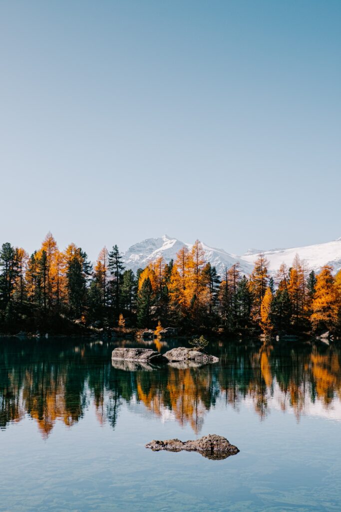 Serene lake reflecting golden autumn trees rugged stones snow-capped mountains clear blue sky wallpaper