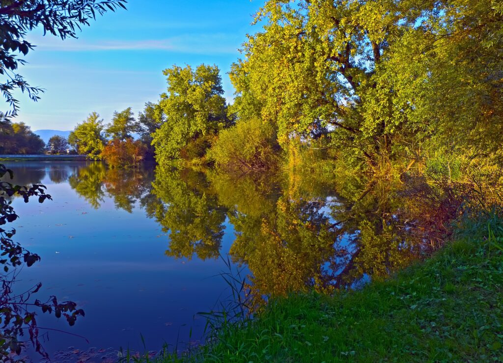Serene autumn landscape with vibrant golden green trees reflected in a tranquil lake under blue sky Wallpaper