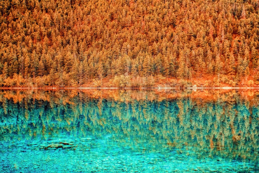 Serene autumn lake with vibrant foliage reflected in clear blue water HDR nature wallpaper background