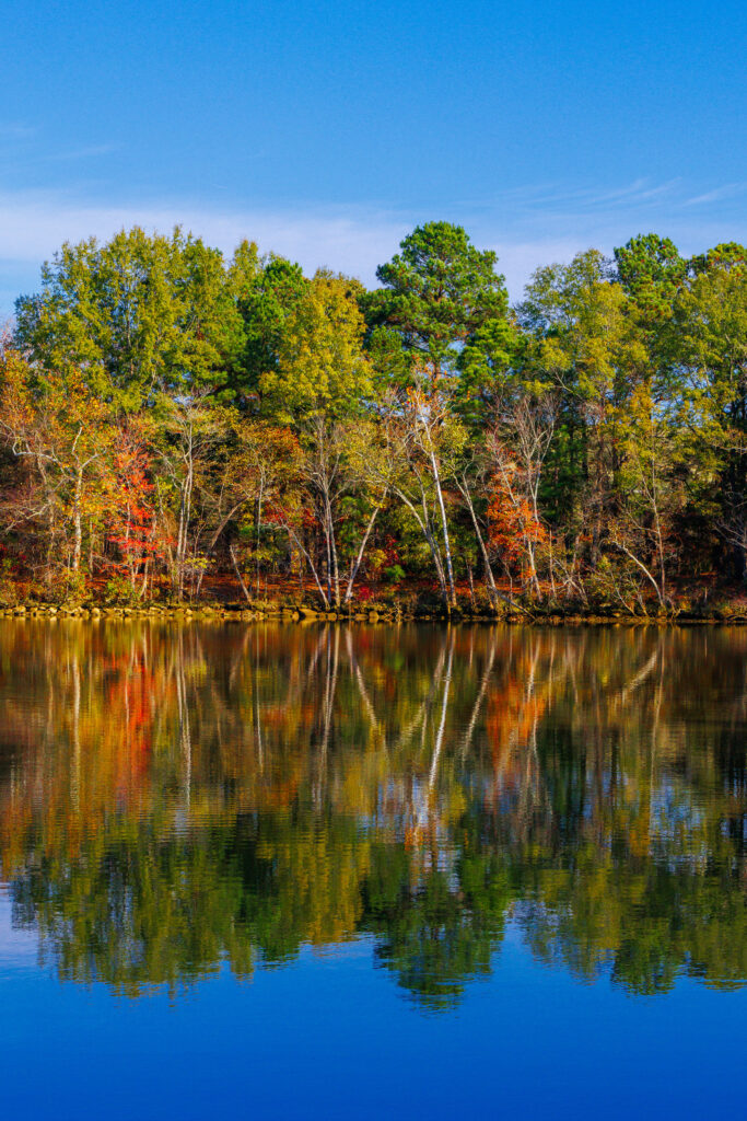 Tranquil autumn lake with colorful trees reflecting on calm water under blue sky wallpaper background