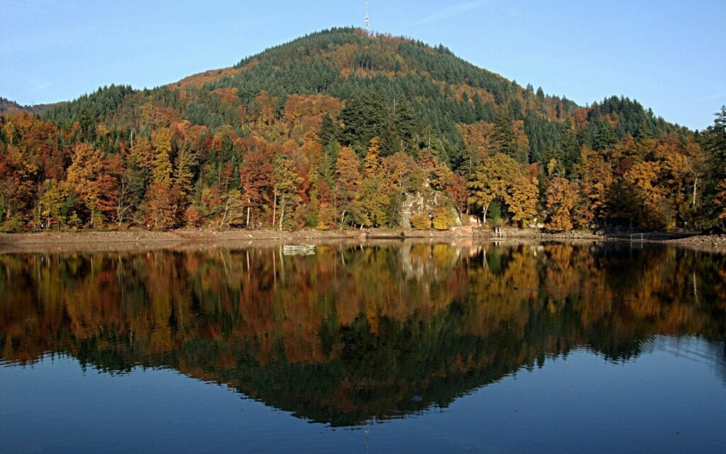 Serene autumn landscape with colorful trees reflecting on calm river and sloping hill wallpaper