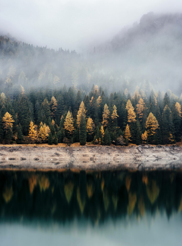 Misty Autumn Landscape: Golden Foliage & Tranquil Reflections Wallpaper