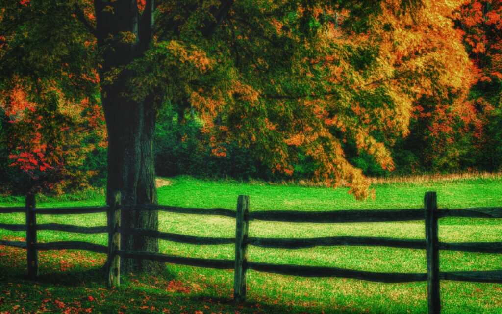 Serene landscape wallpaper with large tree orange green leaves rustic wooden fence grassy field