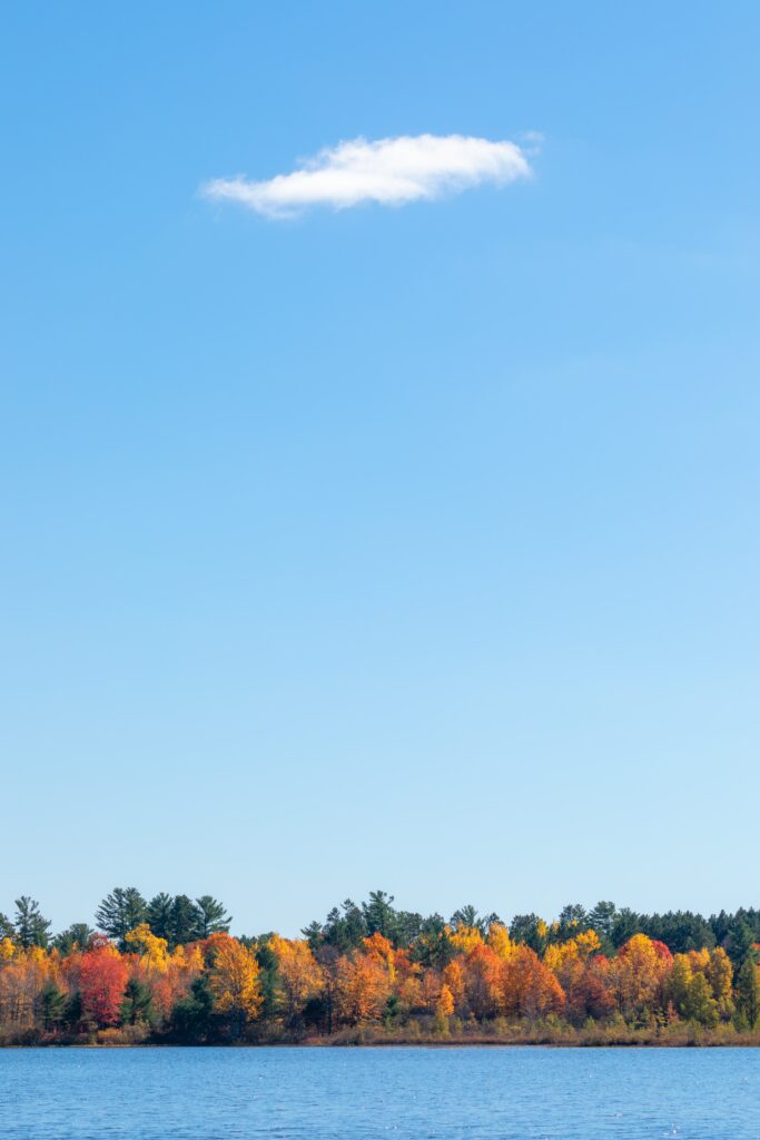 Serene autumn landscape with vibrant orange red gold trees by calm river under blue sky wallpaper