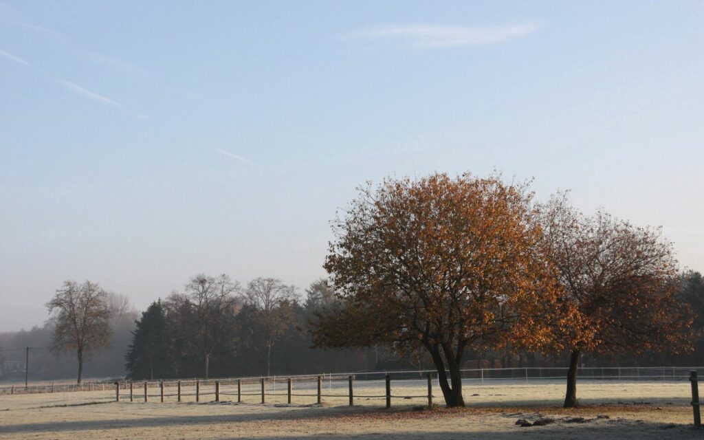 Serene autumn morning with frost-covered field rustic fence and orange October leaves wallpaper
