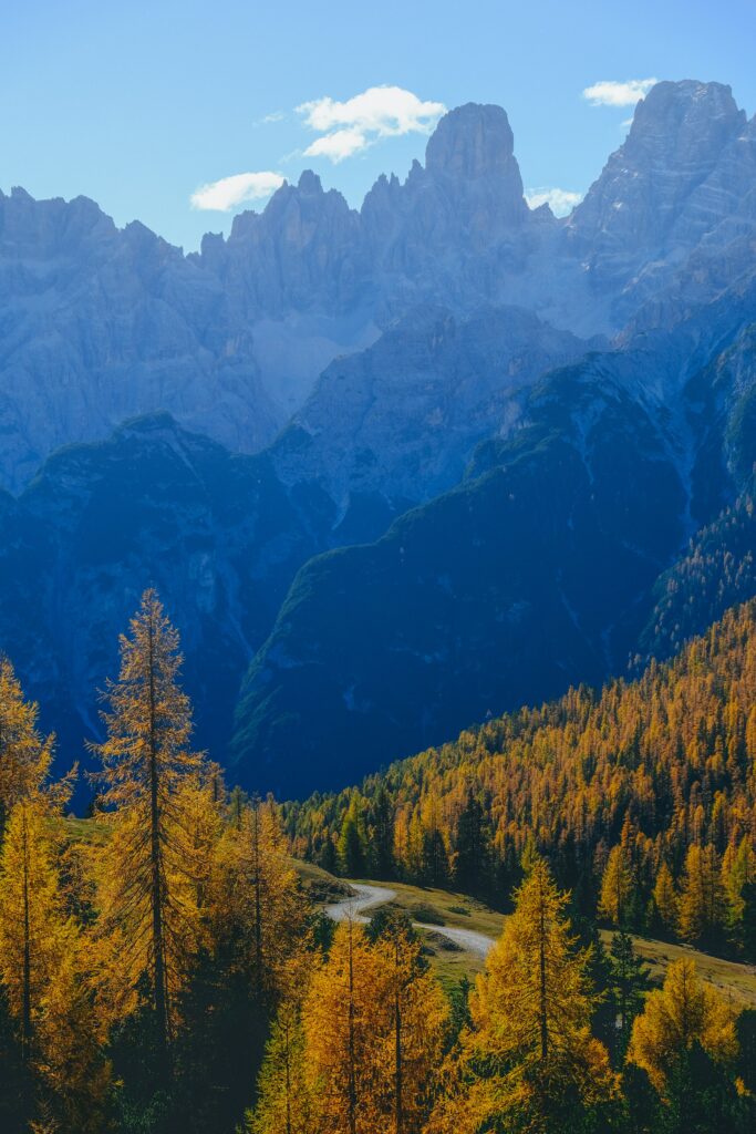 Autumn mountain landscape with golden trees winding foggy path under clear blue sky wallpaper