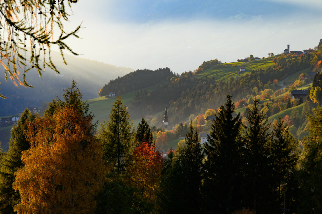 Serene mountain landscape with autumn trees foggy valleys peaceful nature wallpaper background