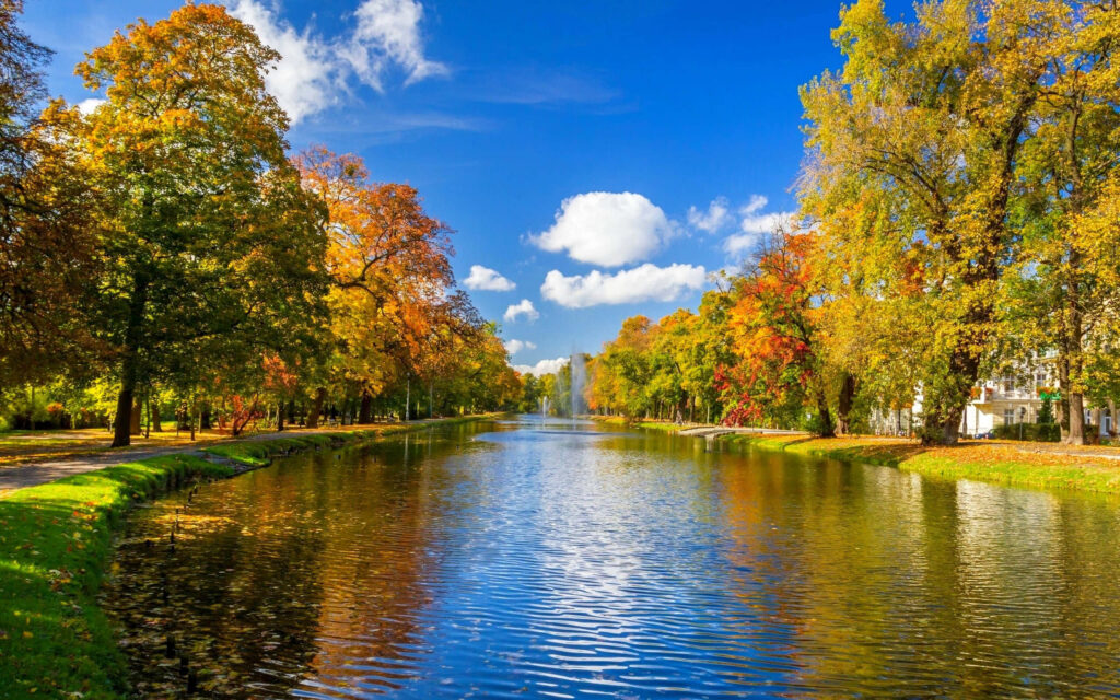 Serene Autumn Park Wallpaper: Vibrant Colors & Calm Lake Reflection