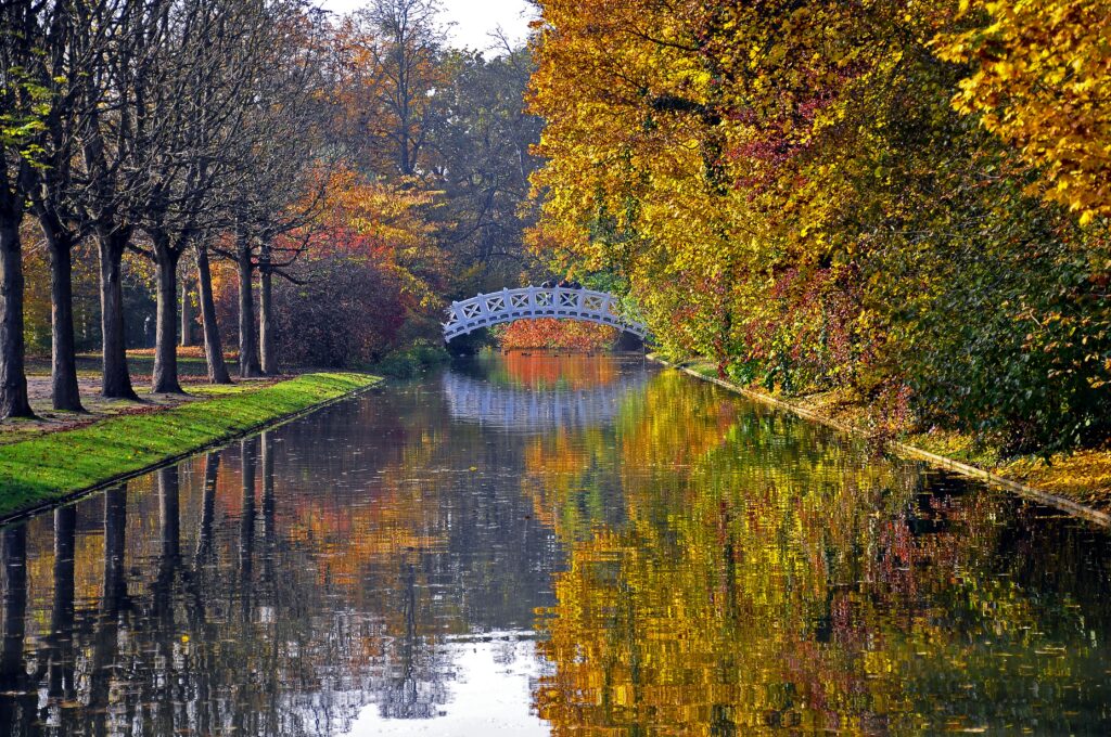 Serene autumn park with golden trees reflecting on calm river and white arched bridge wallpaper