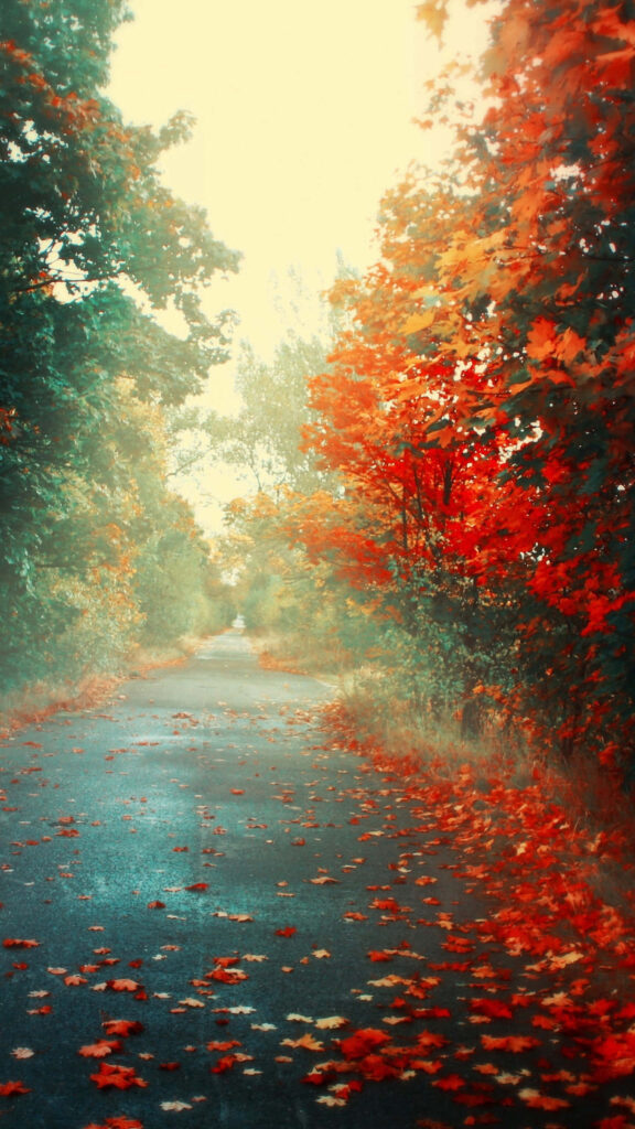Serene Autumn Pathway Wallpaper: Vibrant Fall Foliage Background