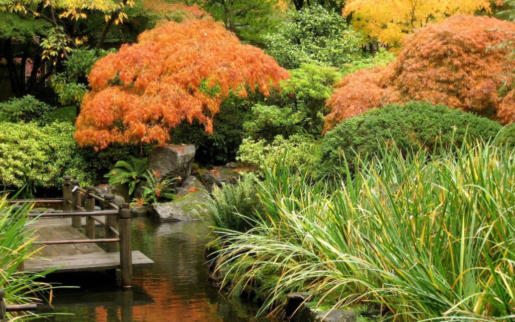 Serene autumn pond with wooden bridge vibrant fall trees lush grasses peaceful nature wallpaper