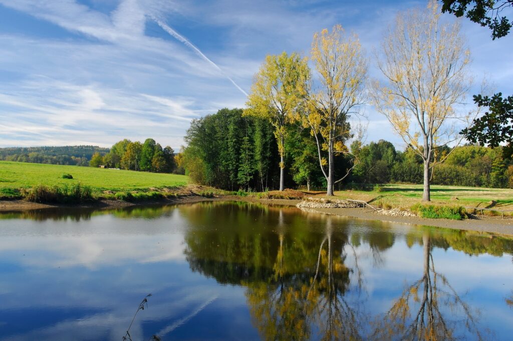 Serene autumn pond with clear reflections of golden trees vibrant blue sky and soft sunlight Wallpaper