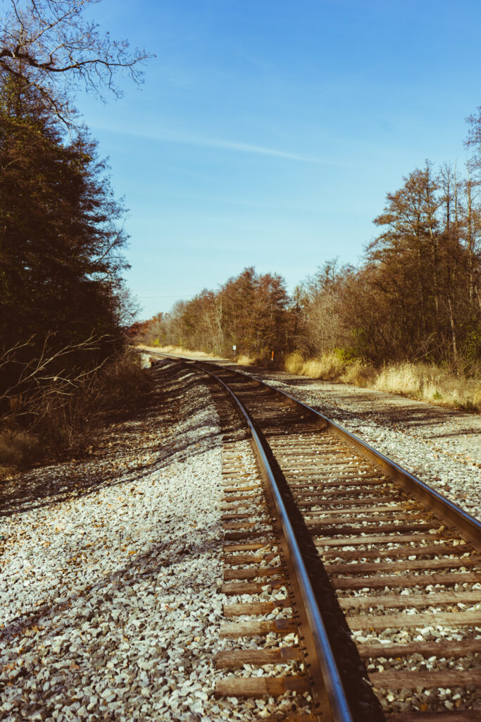 Serene railroad track through autumn forest with tall trees under clear blue sky wallpaper background