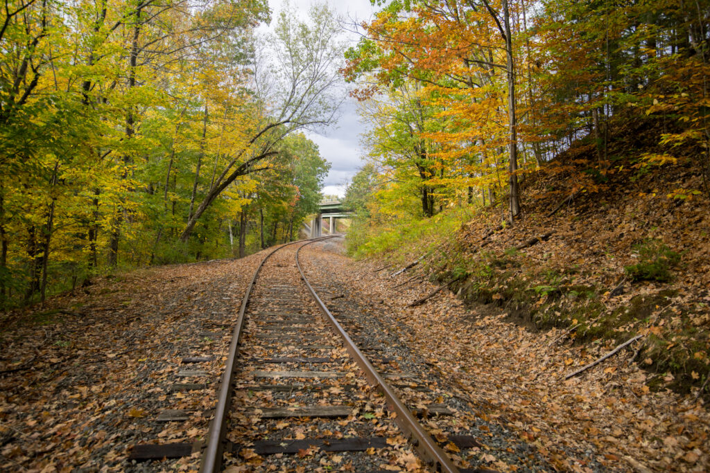 Curved railway tracks winding through autumn forest with golden green foliage and distant bridge Wallpaper