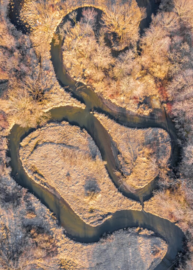 Aerial view of winding river through golden autumn forest with vibrant fall foliage wallpaper background