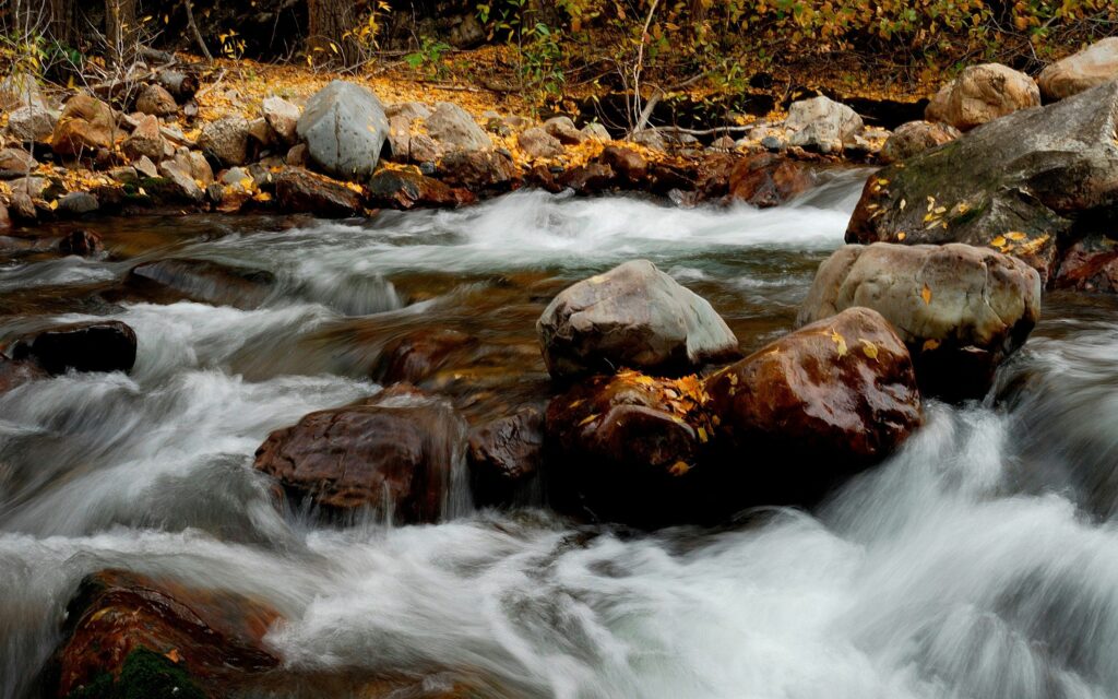 Serene river flowing over smooth stones with golden autumn leaves in peaceful nature scene Wallpaper