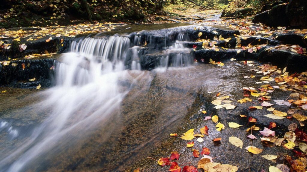 Silky river flowing over rocks with vibrant autumn leaves in a peaceful mountain landscape wallpaper