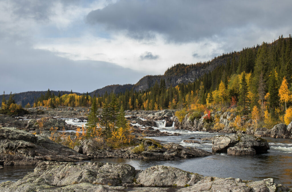 Serene river flowing through rocky autumn forest with rolling hills under dramatic sky wallpaper