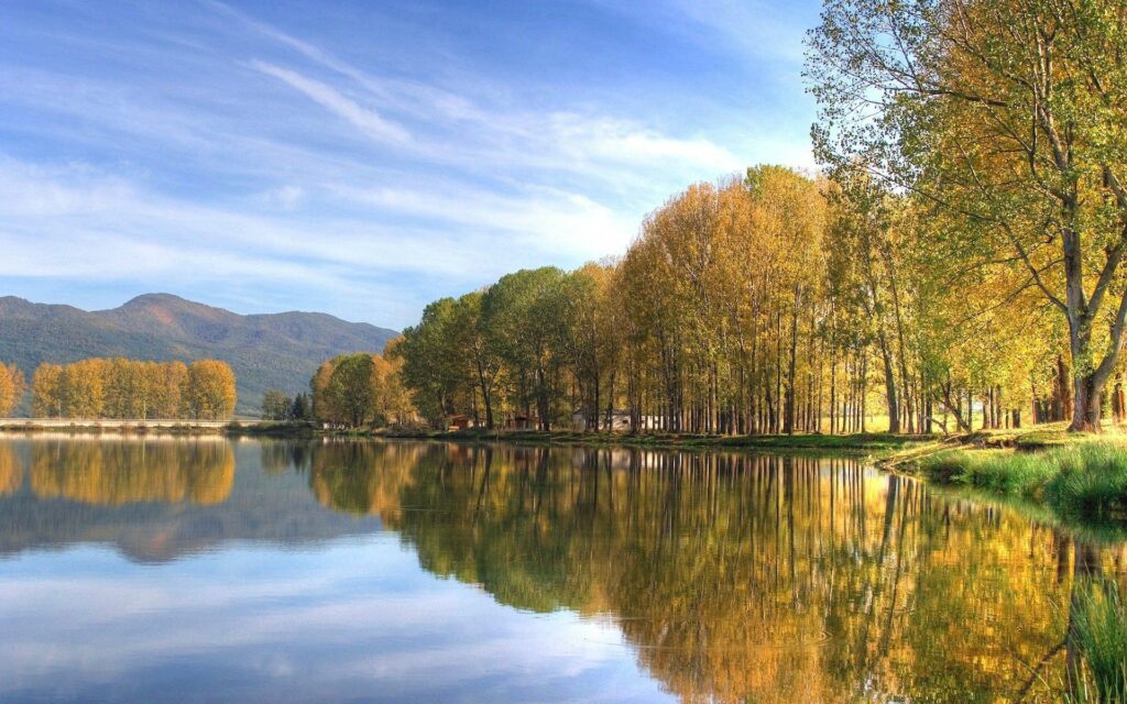 Serene autumn river landscape with golden trees bright blue sky and distant mountains wallpaper