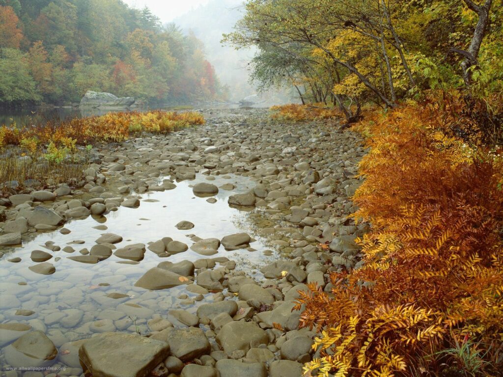 Serene autumn river with golden orange foliage and smooth rocks reflecting misty fall landscape Wallpaper