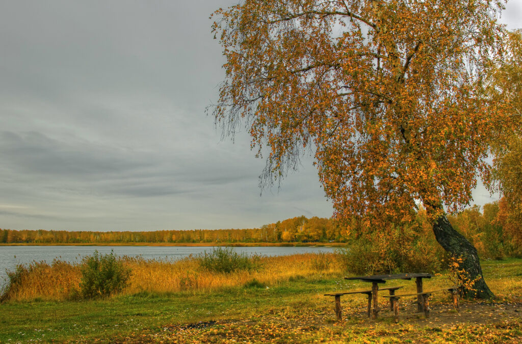 Autumn riverside with golden trees wooden table benches calm river and overcast sky wallpaper