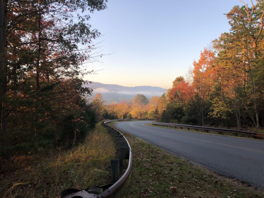Winding road through vibrant autumn trees with misty mountains and soft morning light background Wallpaper