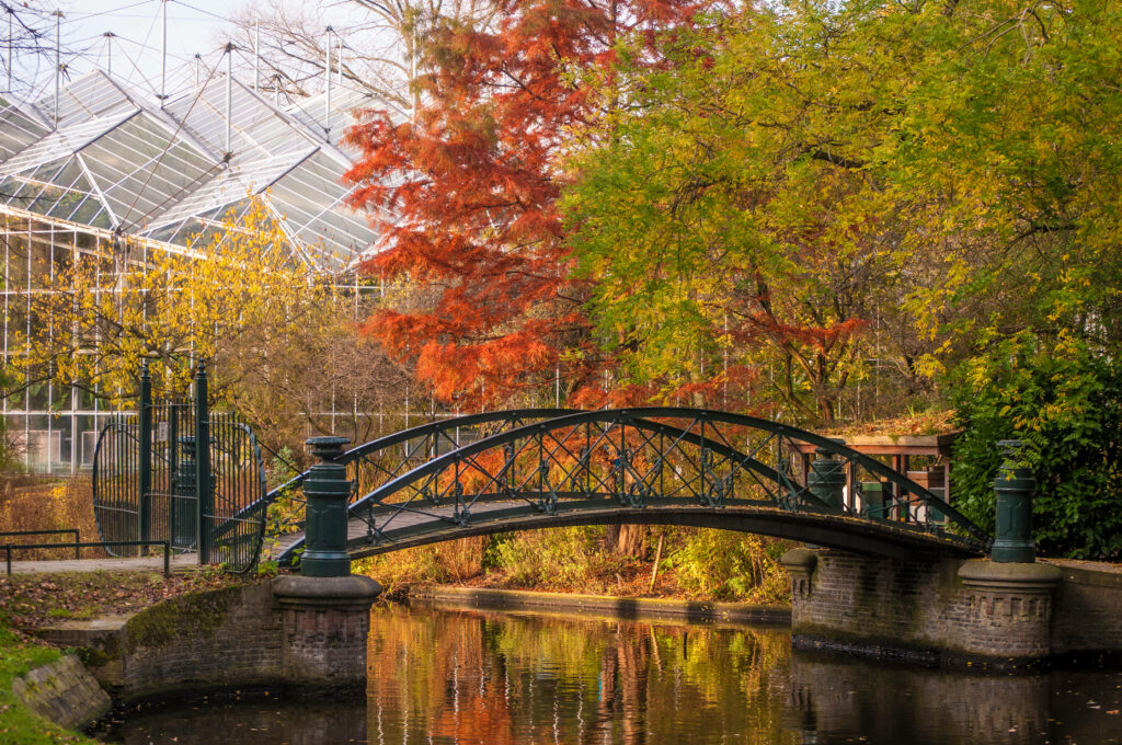 Autumn Serenity: Amsterdam's Hortus Botanicus Bridge Wallpaper