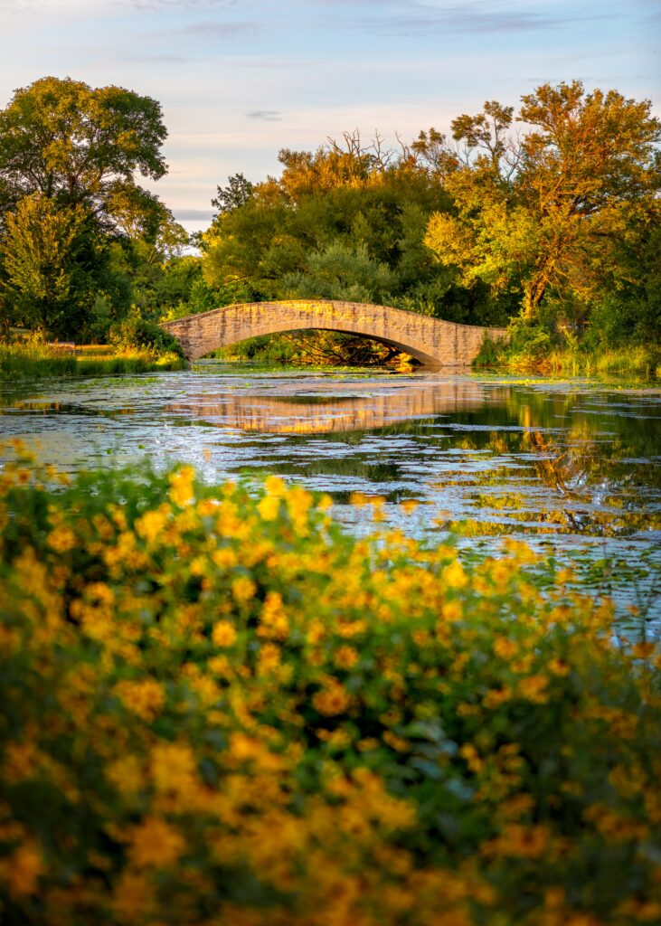 Stone bridge over reflective river surrounded by green trees and autumn bushes wallpaper background