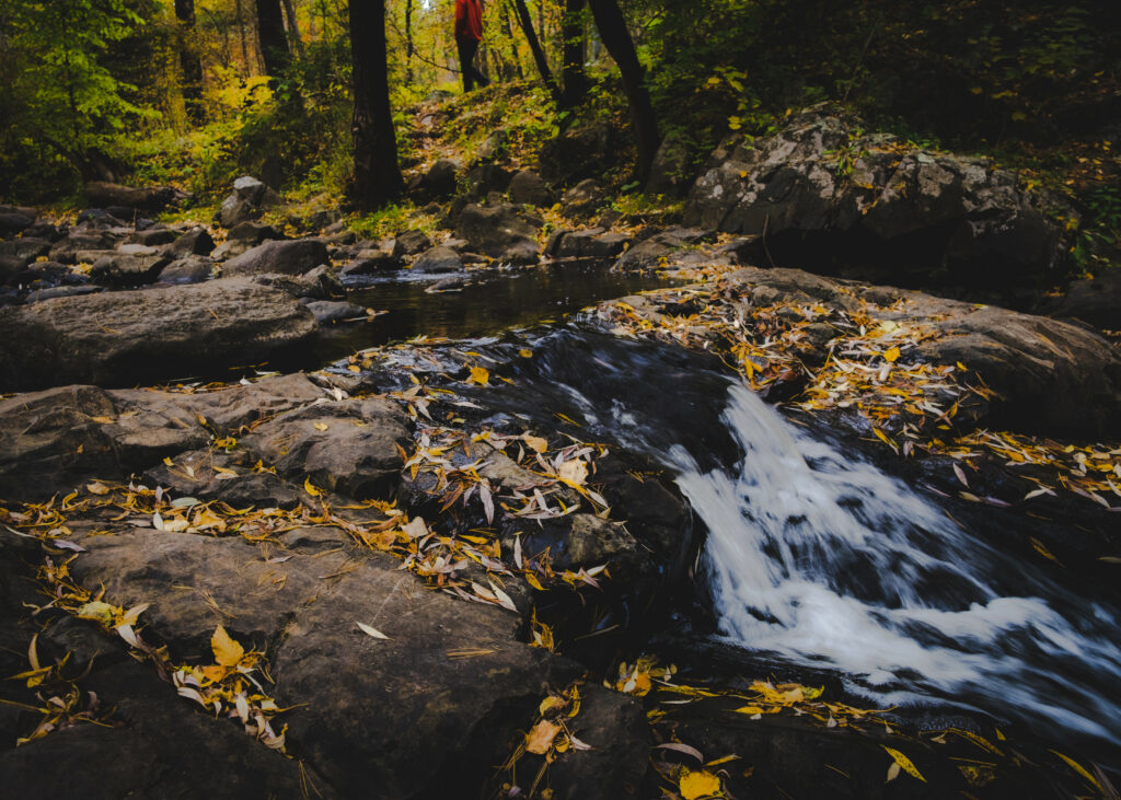Serene autumn stream flowing over smooth stones with golden leaves in a peaceful forest background Wallpaper