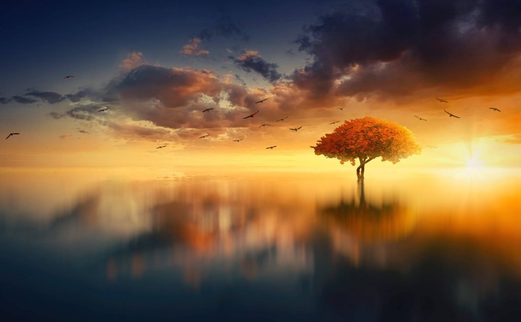 Sunset wallpaper with vibrant yellow autumn tree reflected in calm water under warm sky