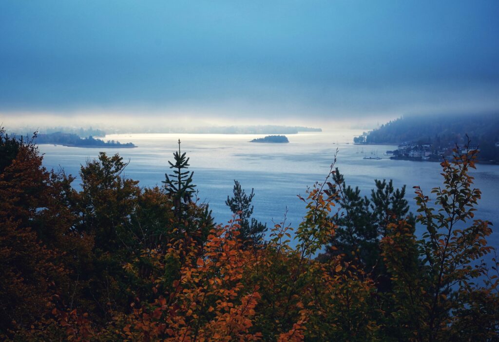 Serene autumn trees overlooking misty sea and islands with vibrant orange and deep blue hues wallpaper