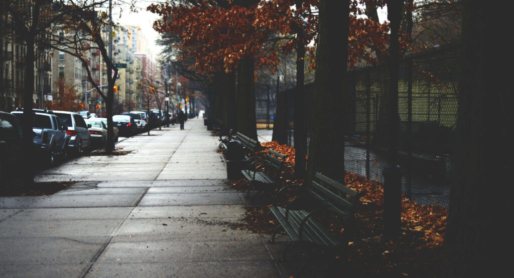 Calm Autumn Urban Street: Trees, Leaves & Quiet Benches Wallpaper