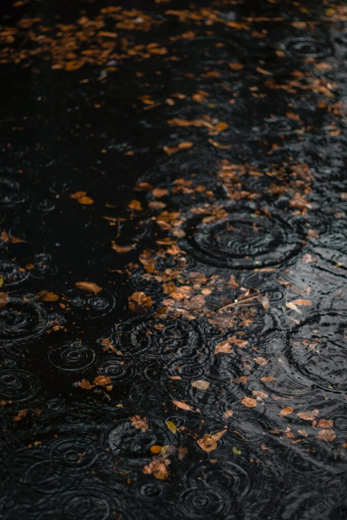 Serene Autumn Scene: Dark Puddle & Golden Leaves Wallpaper