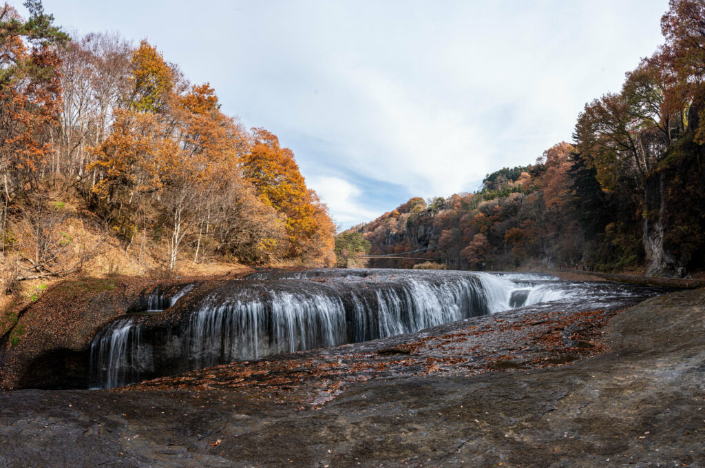 Serene autumn waterfall over dark rocks with vibrant orange gold trees under soft sky background Wallpaper