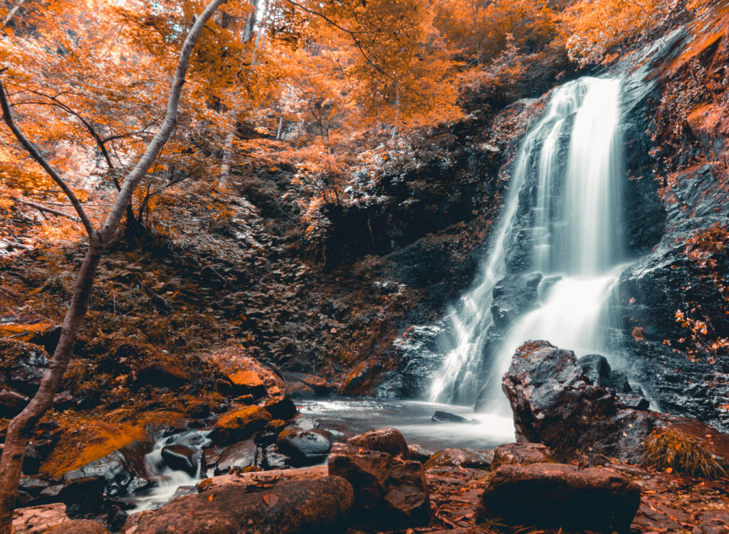 Serene autumn waterfall over dark stones framed by golden trees vibrant nature landscape Wallpaper