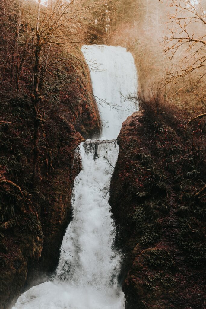 Waterfall cascading over mossy rocks with autumn branches and tall grass serene nature scene Wallpaper