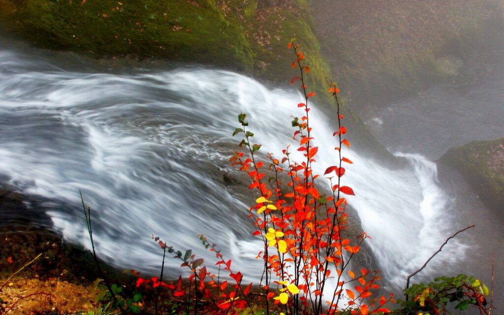 Waterfall flowing over mossy rocks surrounded by vibrant red orange yellow autumn leaves serene fall Wallpaper