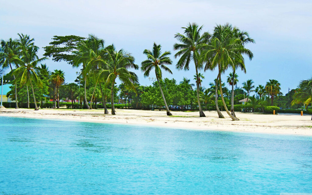 Tranquil Bahamas Beach Wallpaper: Turquoise Waters & Palm Trees