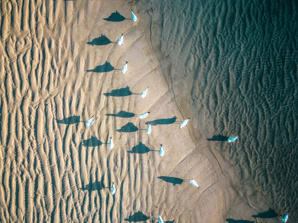 Serene Aerial Beach Wallpaper: Sand Patterns & Ocean Ripples